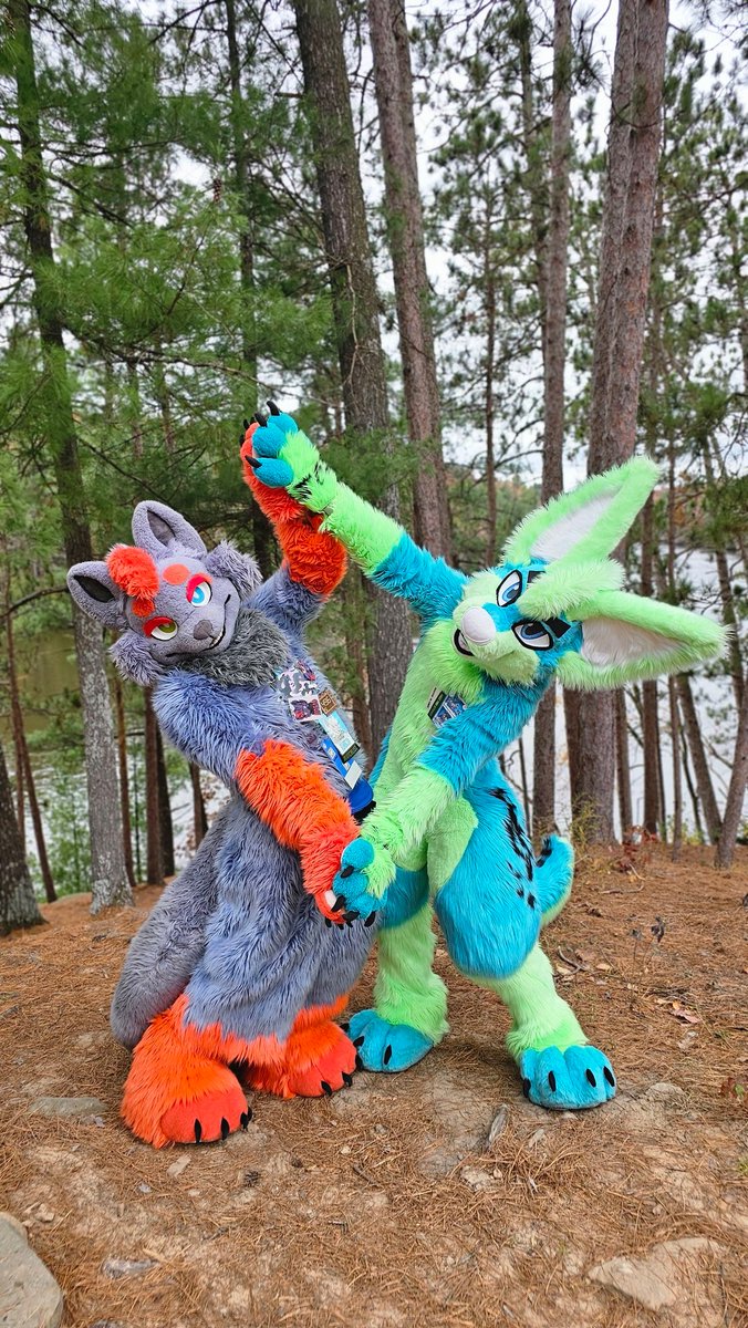 Rabidwolf tweet media