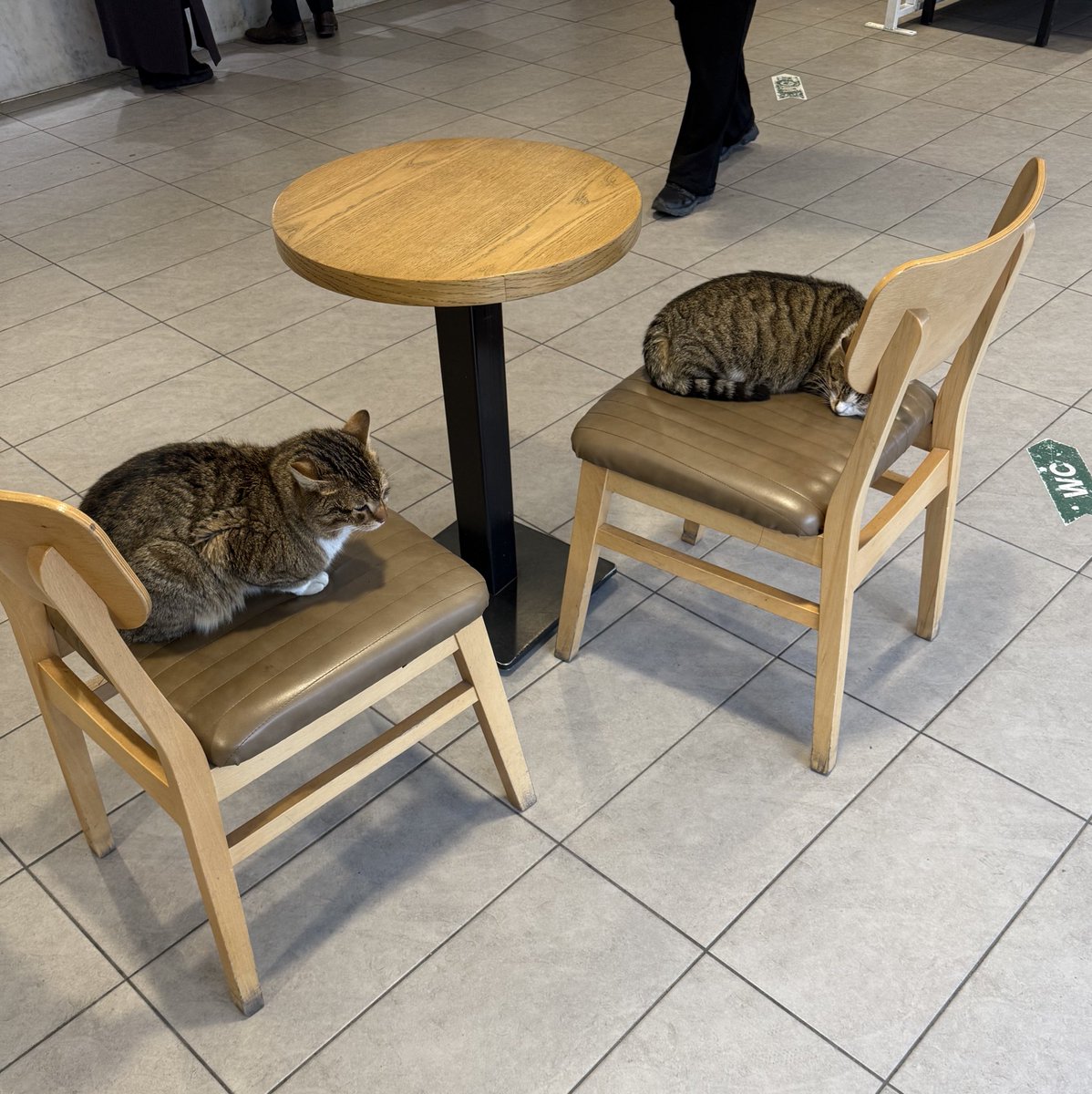 Av. Alpay ANTMEN tweet media