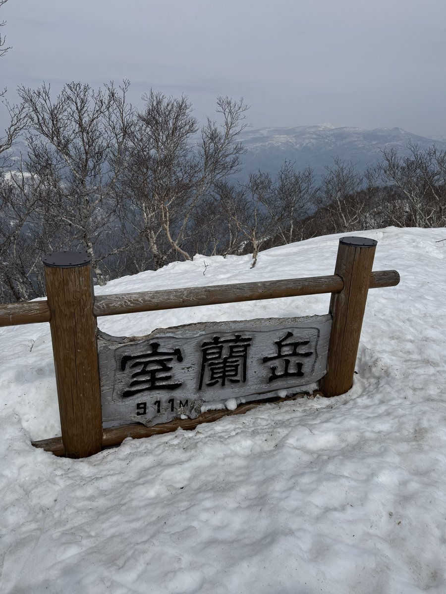 りす＠お茶 tweet media