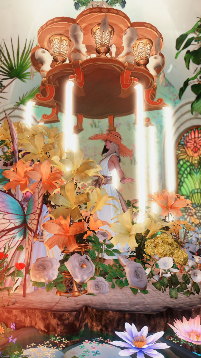 Jiji Exotic-short tweet media