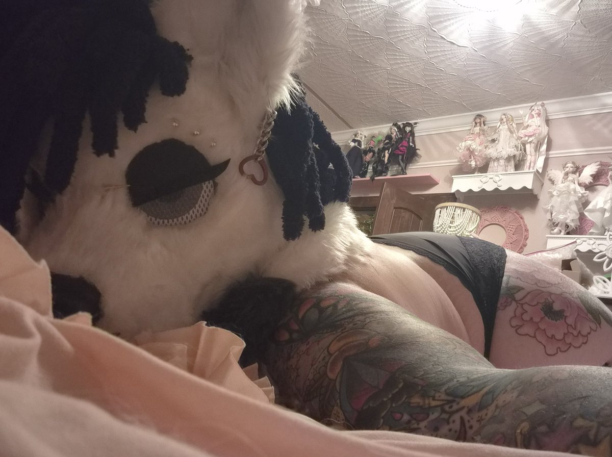 Samara_Pup's tweet photo. Some bootyyy fur ya! 😘🖤

#fursuitsex #fursuit #fursuitnsfw #nsfw #furryporn #furrysex  #bifurry #furrynsfw #furrybbw #bbw #murrsuit #mursuit #furrylove #furryAD https://t.co/TWybfdLbp4