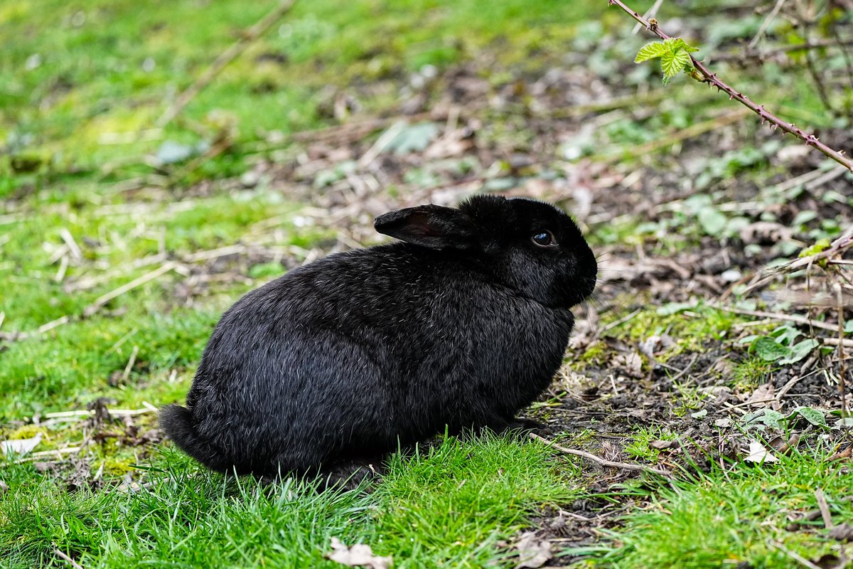 SkykidLan's tweet image. A peaceful, reflective Good Friday. 
#Vancouver 🇨🇦