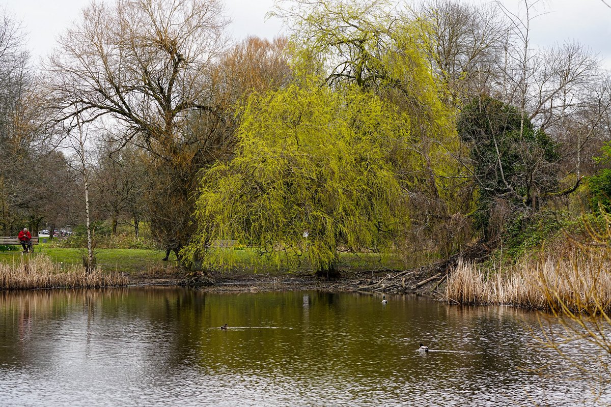 SkykidLan's tweet image. A peaceful, reflective Good Friday. 
#Vancouver 🇨🇦