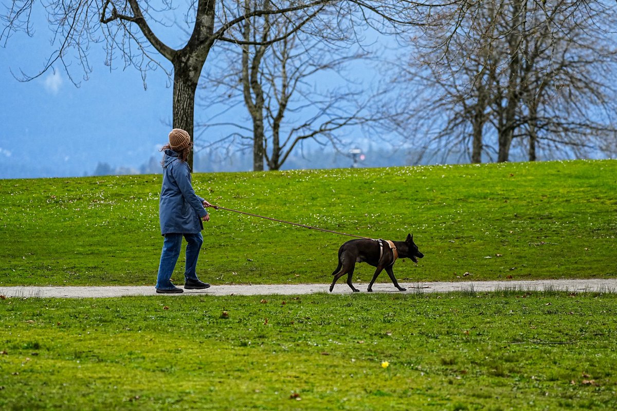 SkykidLan's tweet image. A peaceful, reflective Good Friday. 
#Vancouver 🇨🇦