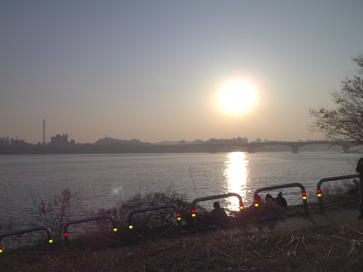 최근에 망원 한강공원을 다녀왔는데
참 좋았다...