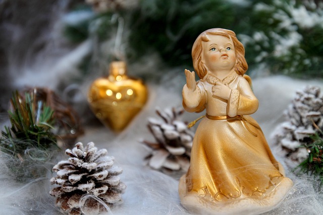 Amy Petersen tweet media