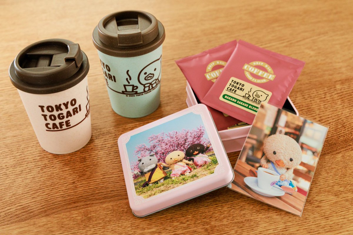 トガリちゃんねる tweet media