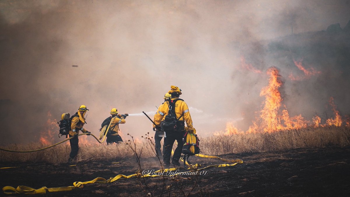 Local_Informant01 tweet media