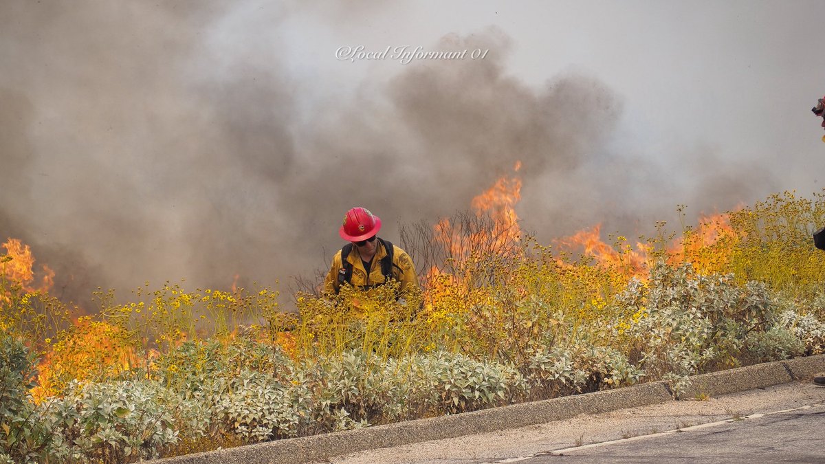 Local_Informant01 tweet media