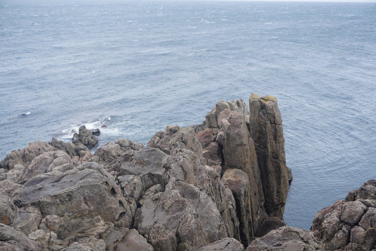 ユーテーⅡ 🍑🥟 📜 💄 tweet media