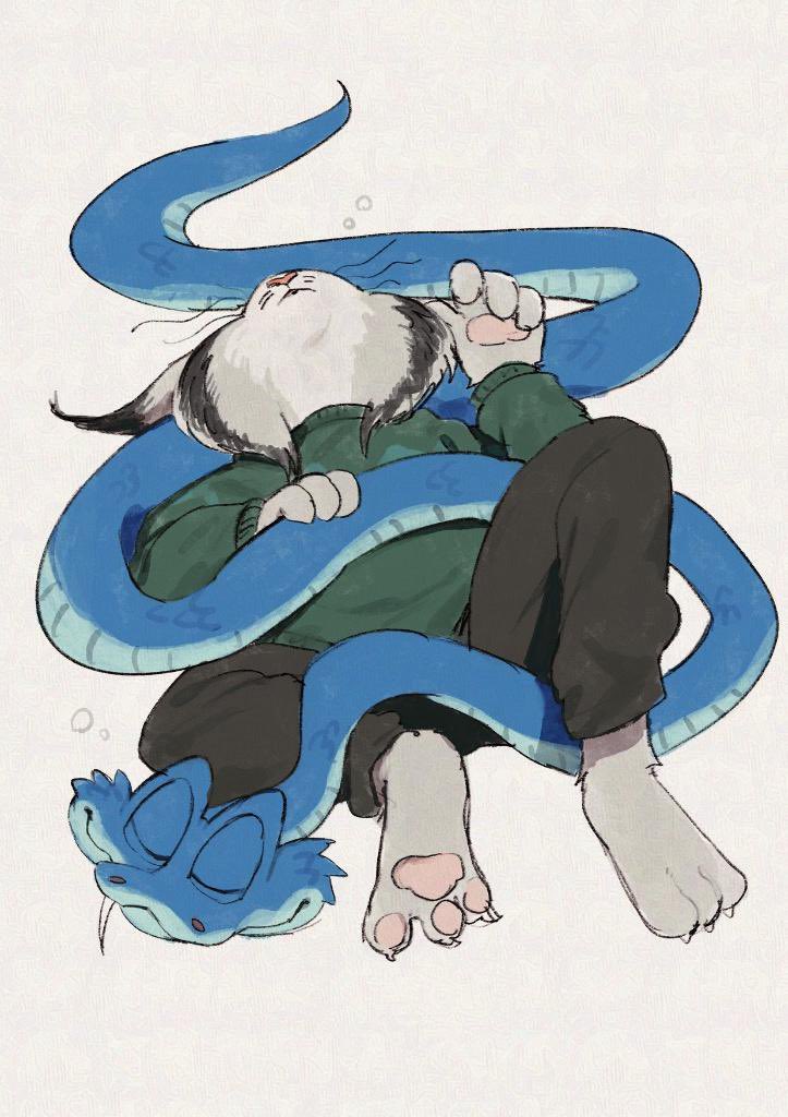 元気なサル tweet media