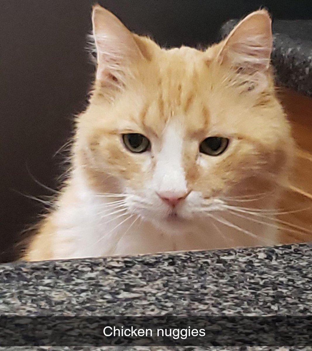 ale ♡ requiem tweet media