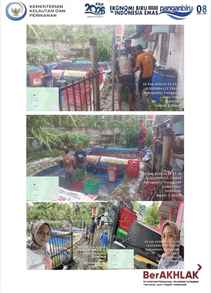 Restifaa1's tweet photo. Resti Fitriandika Anggraeni, S.Pi Luhkan Kab. Teenggalek melakukan Pendampingan Akses Pemasaran ikan lele sebanyak 504 kg dengan harga 19.000 , pada Pokdakan Gunung Kebo Desa Sambirejo, Kec. Trenggalek https://t.co/ncndyrxA7D