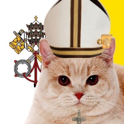 Italian 🚅🇮🇹🇻🇦 tweet media