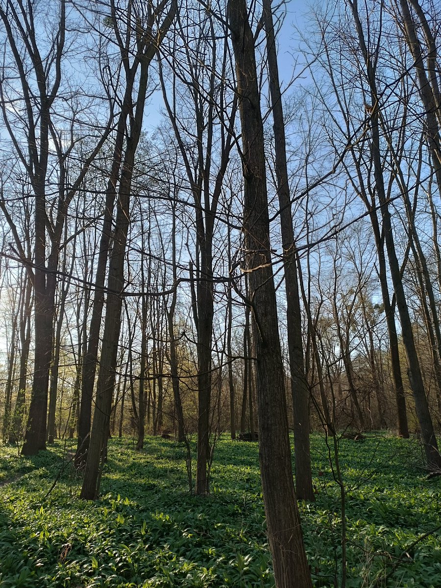 HolkazVychodu tweet media