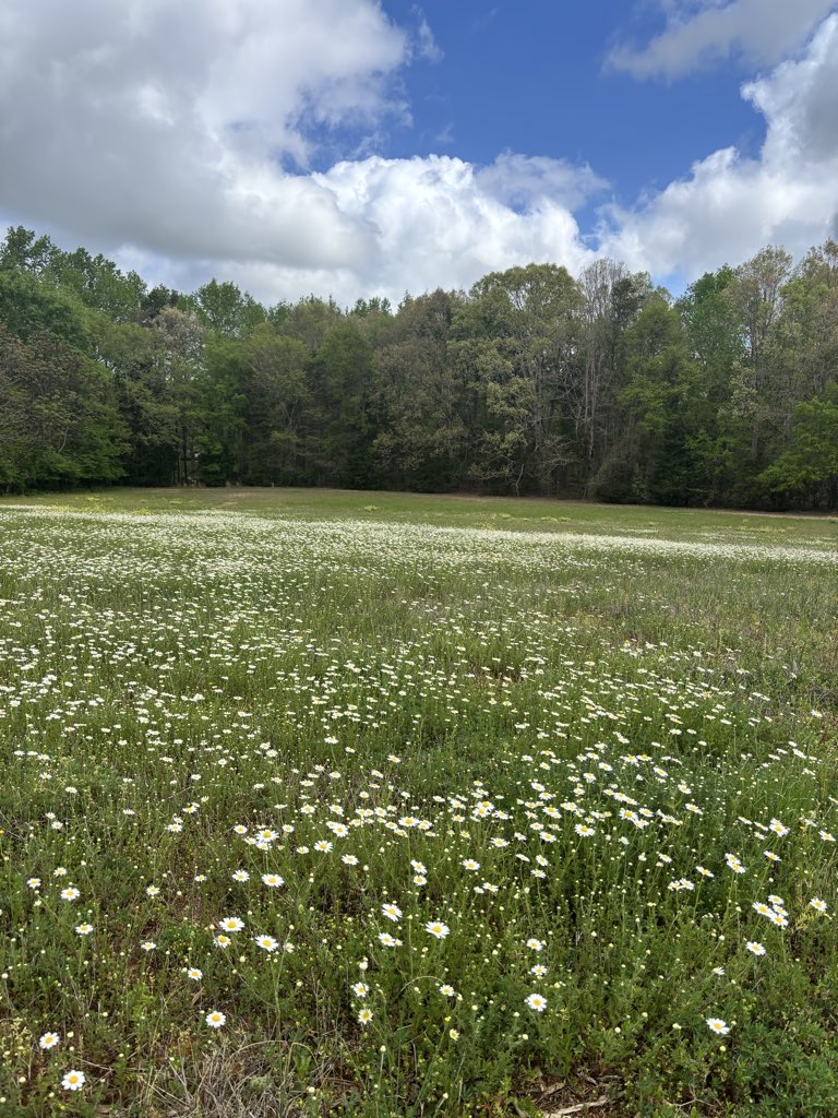 Jacqueline tweet media