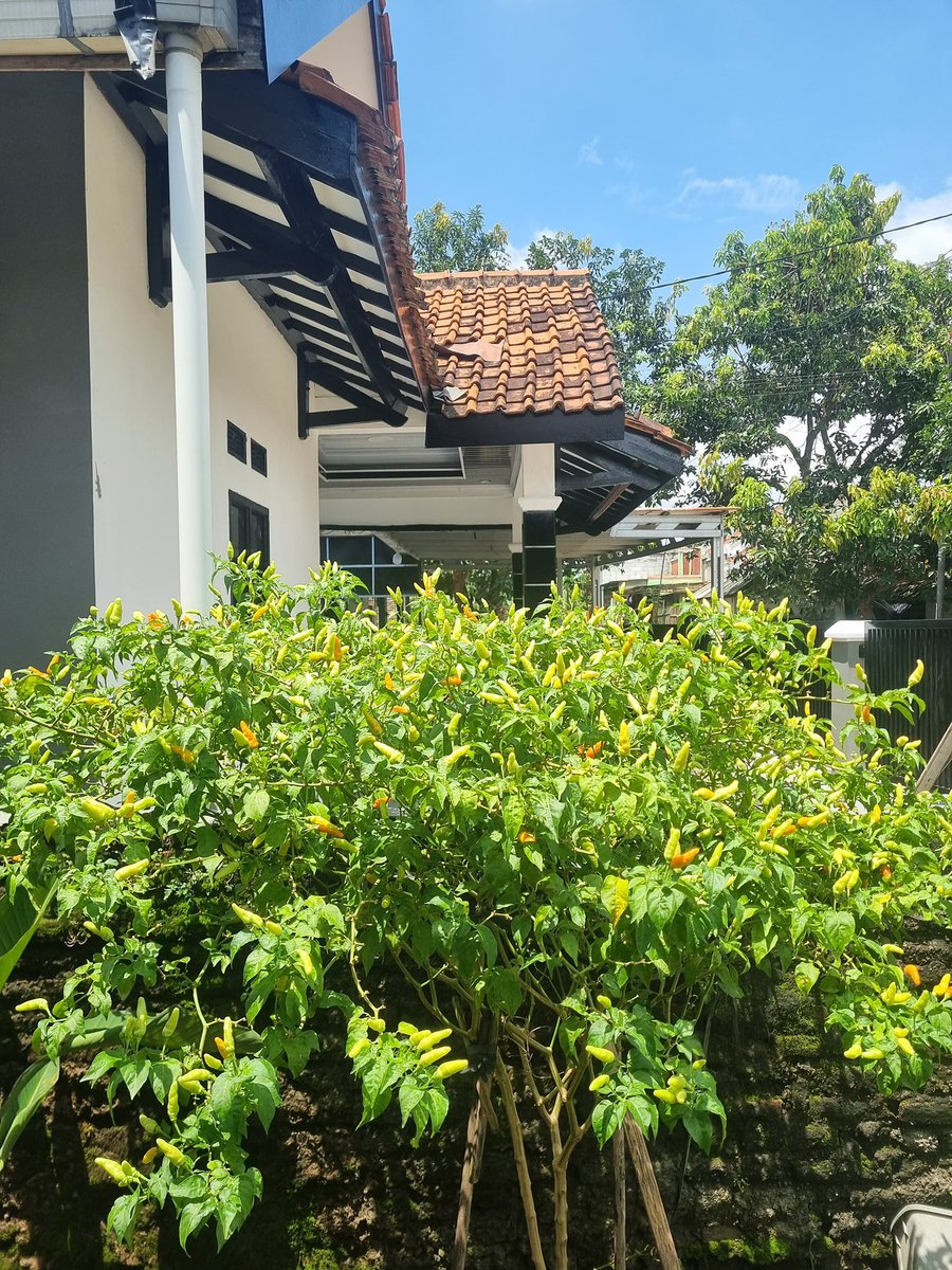 Bismillah lancar segalanya tweet media