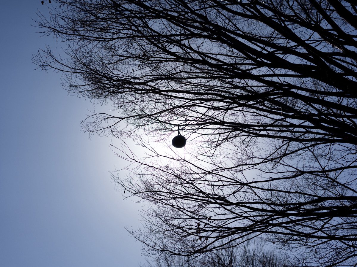 ヤスロウ tweet media