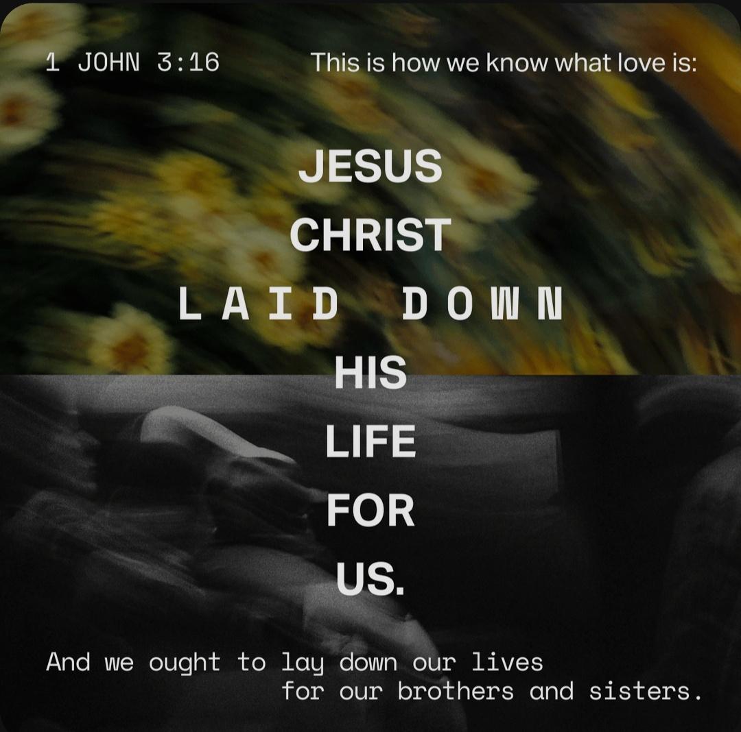 GracedAnnie🖤&💡 tweet media