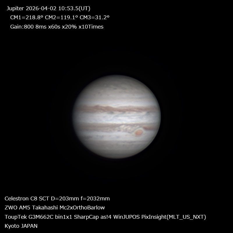 まろまろ tweet media