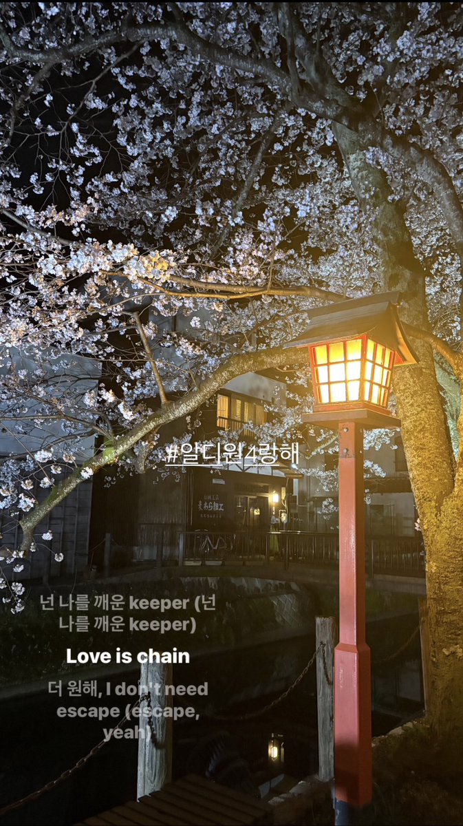 서아🍞 tweet media