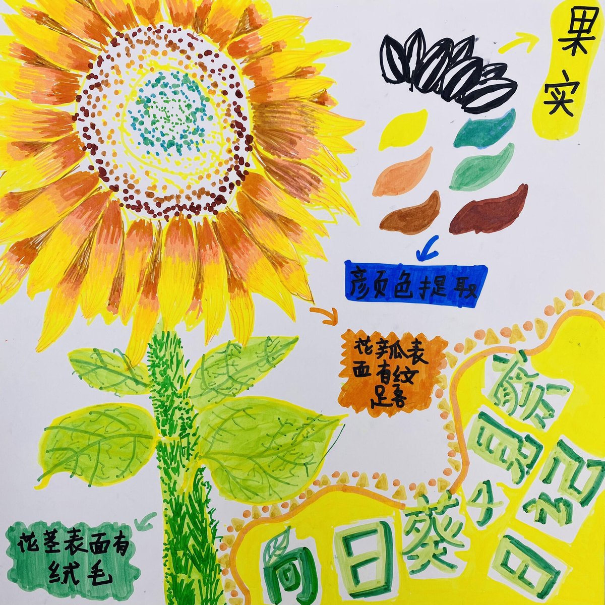 Brotherjohn3's tweet photo. "Pick 1 small hobby this week—try 10 mins daily!  Painting, gardening, journaling It’s not about talent, it’s about joy. What will you start" https://t.co/OMYQGWfQeV