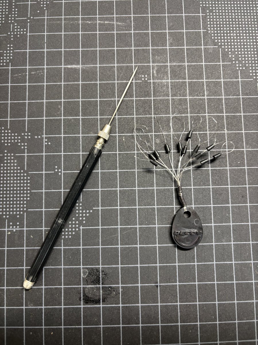 幼少からの魚好きクマ tweet media