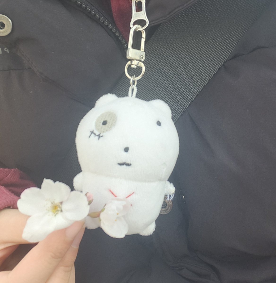 바게솔 tweet media