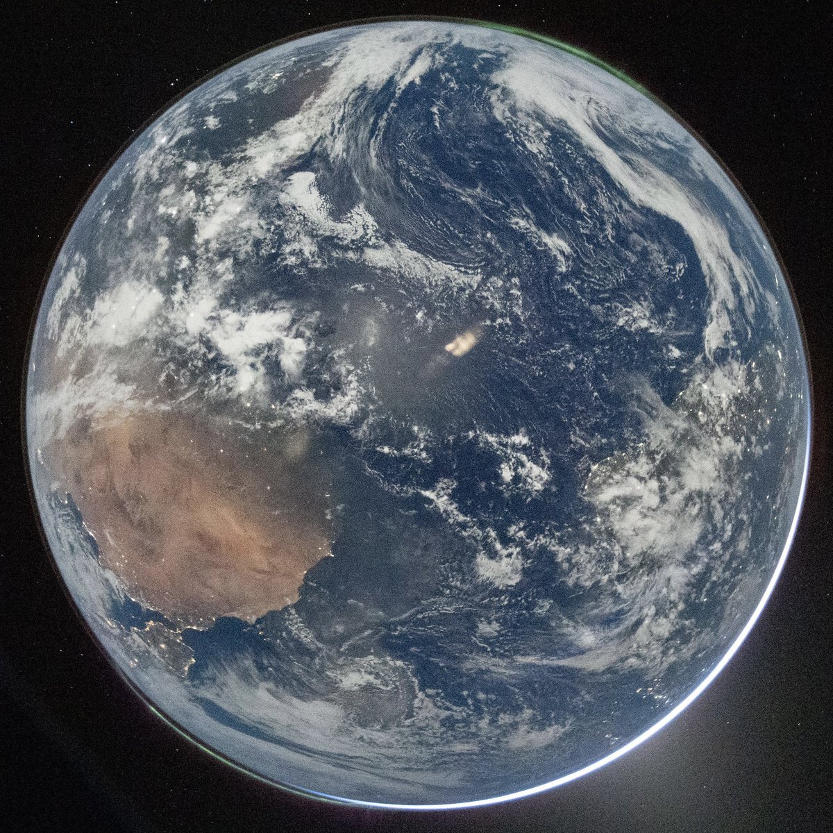 Bin Day Blues tweet media