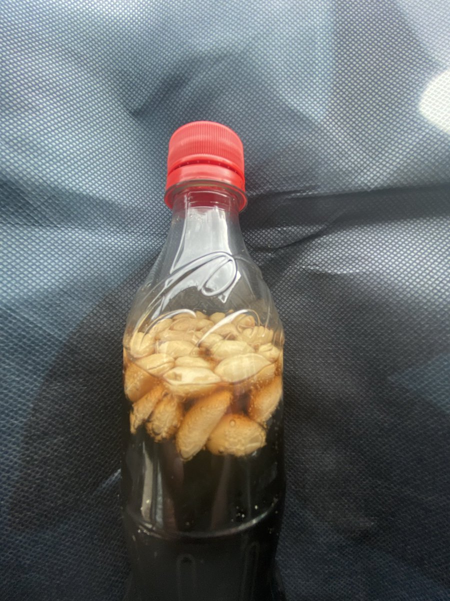 今話題のコーラッツ
コラ中（コーラ中毒）の自分としては試さないわけにはいかない…

感想…
まあ別々でいいかな🙂‍↔️