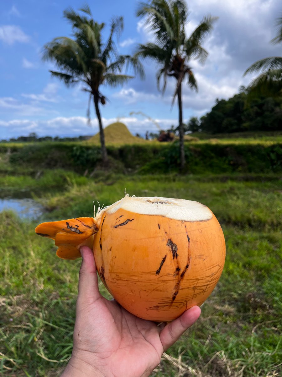 Lowkey_Me tweet media