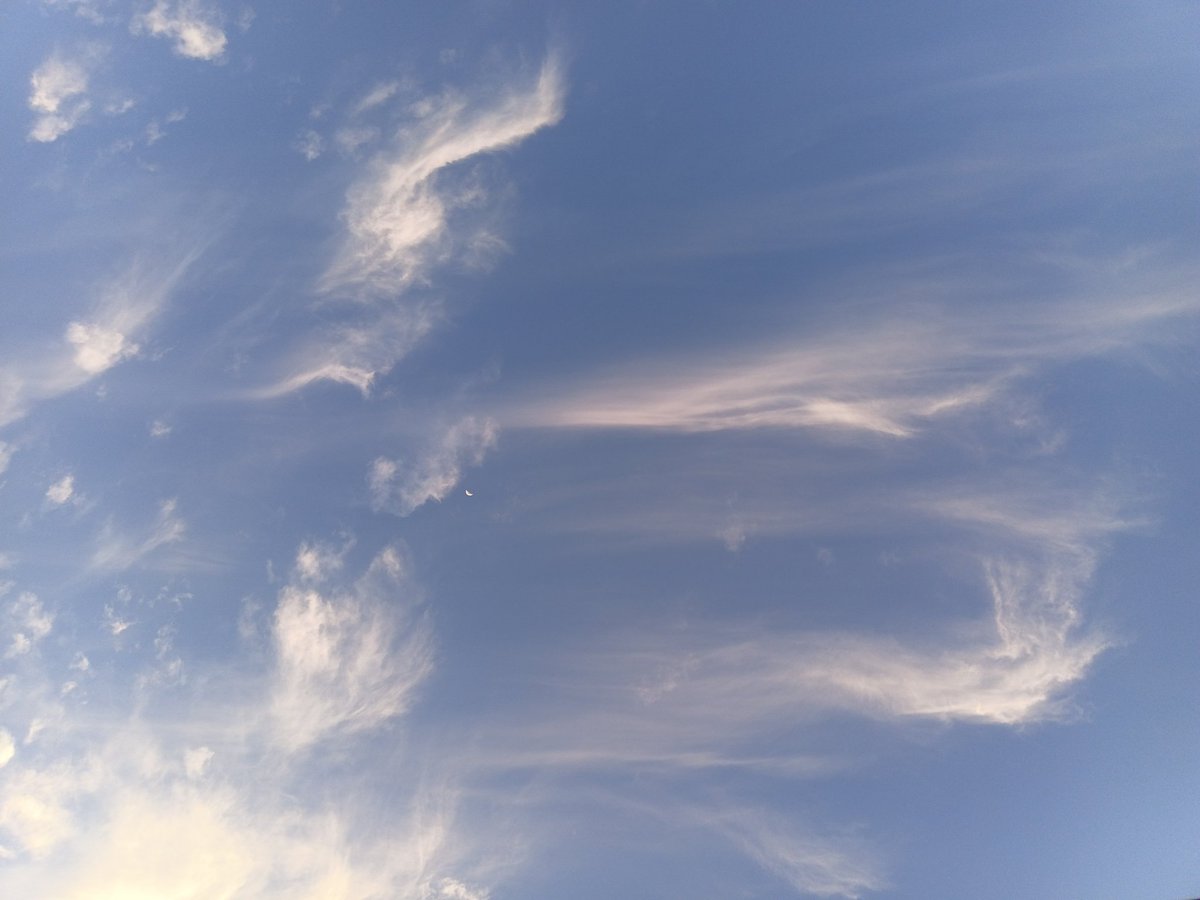 Dauscaler........ tweet media