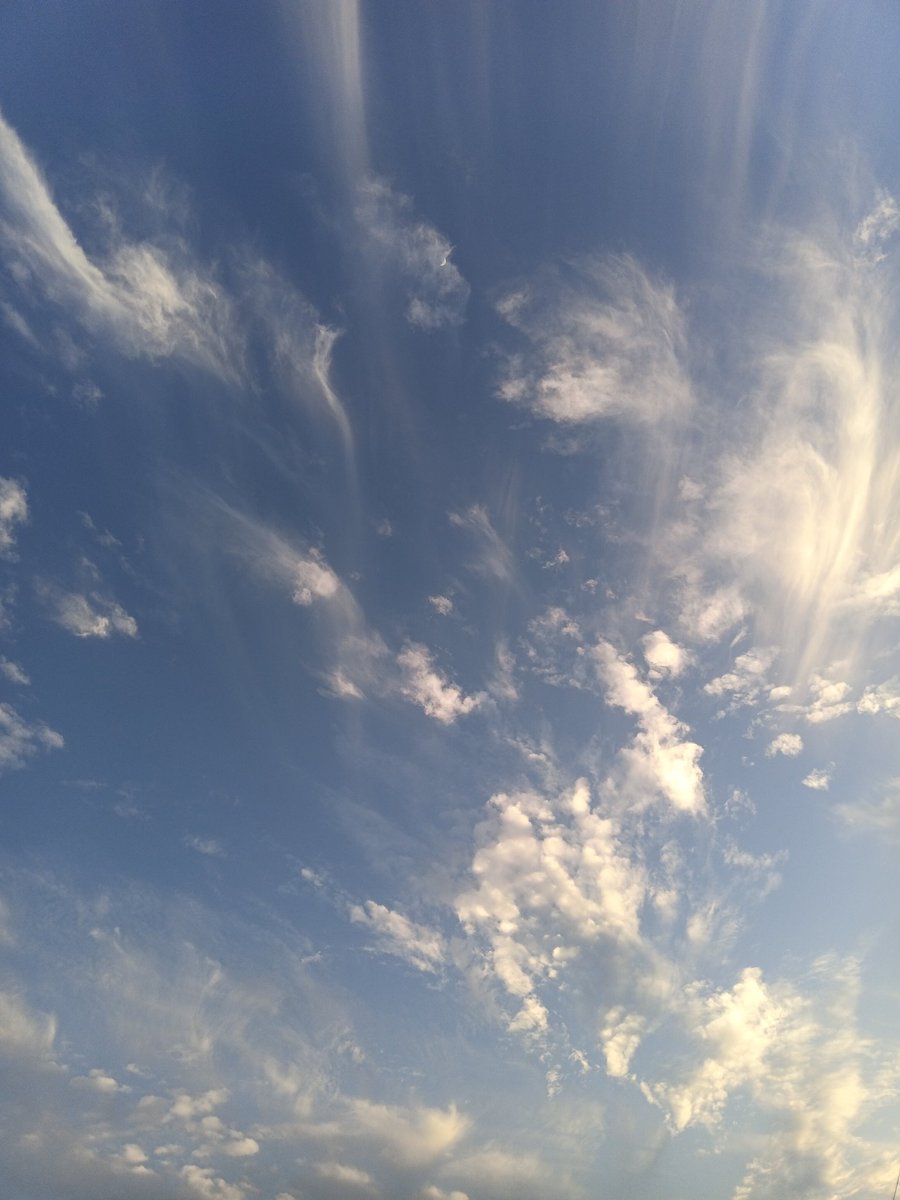 Dauscaler........ tweet media