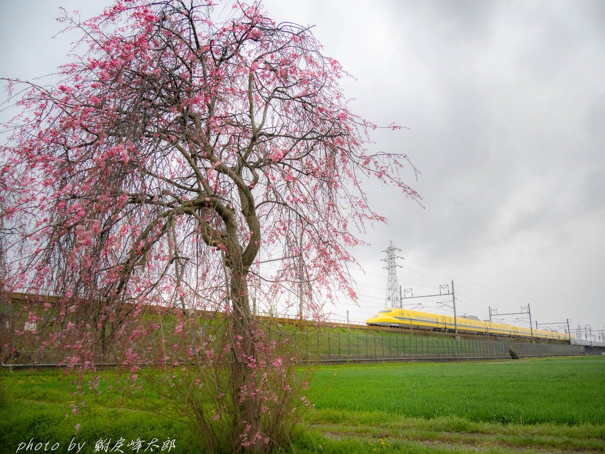 鮒戻峰太郎 tweet media