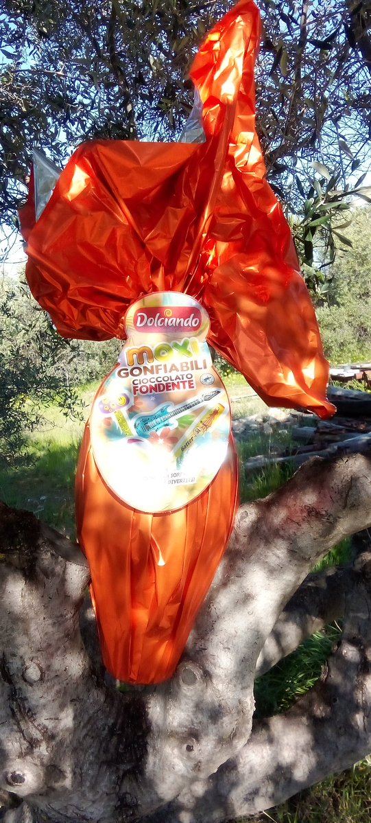 Bitty Oro tweet media