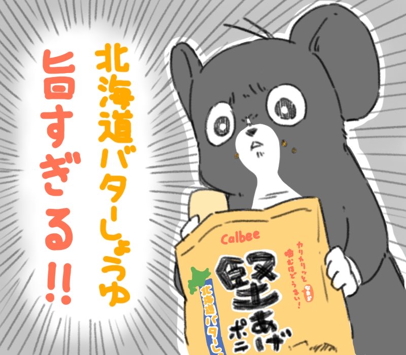 堅あげポテトの北海道バターしょうゆ味が滅茶苦茶おいしくて、可能ならば段ボールいっぱいに買いたいくらいですと…ここにご報告申し上げます。 