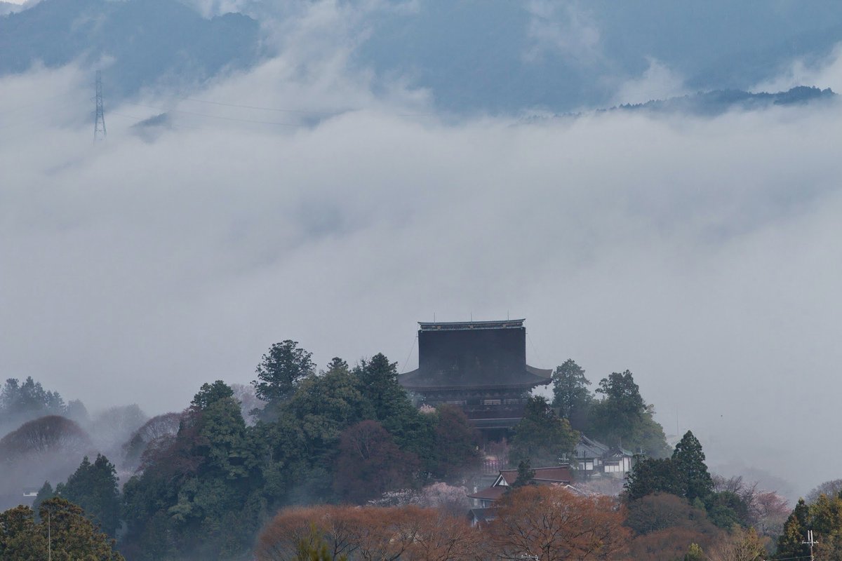 櫻井貴流@551のお膝元💞🦩 tweet media