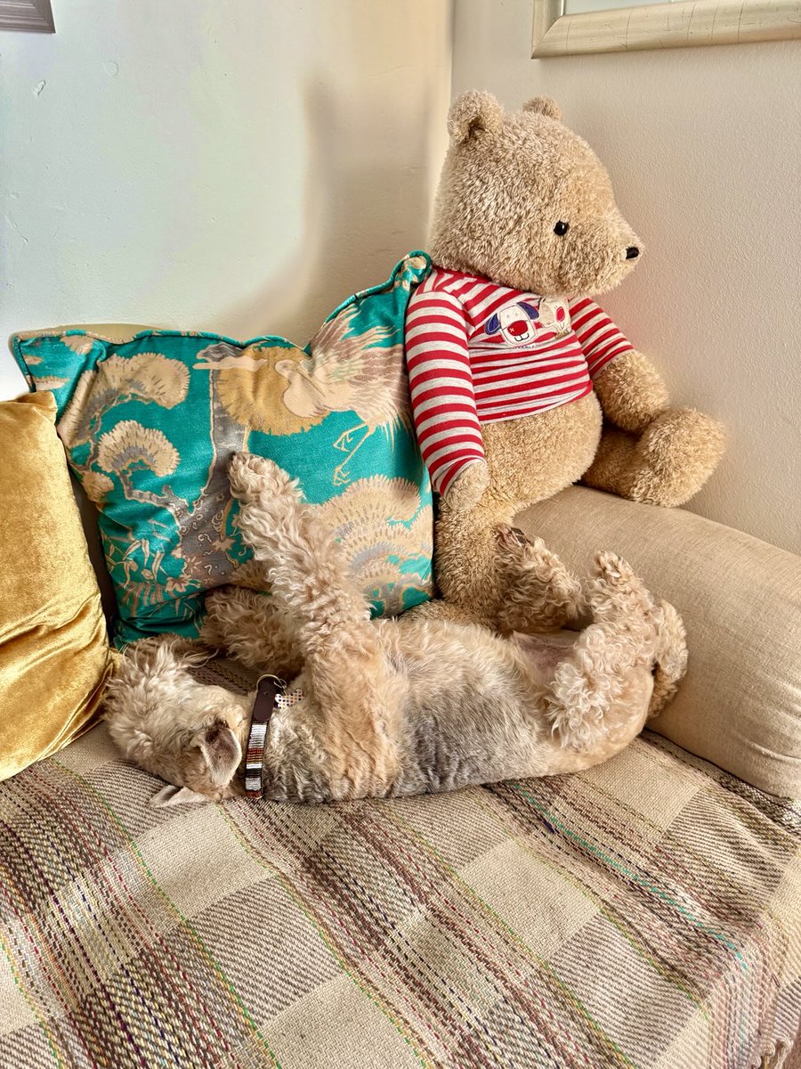 Bertie Lakeland tweet media