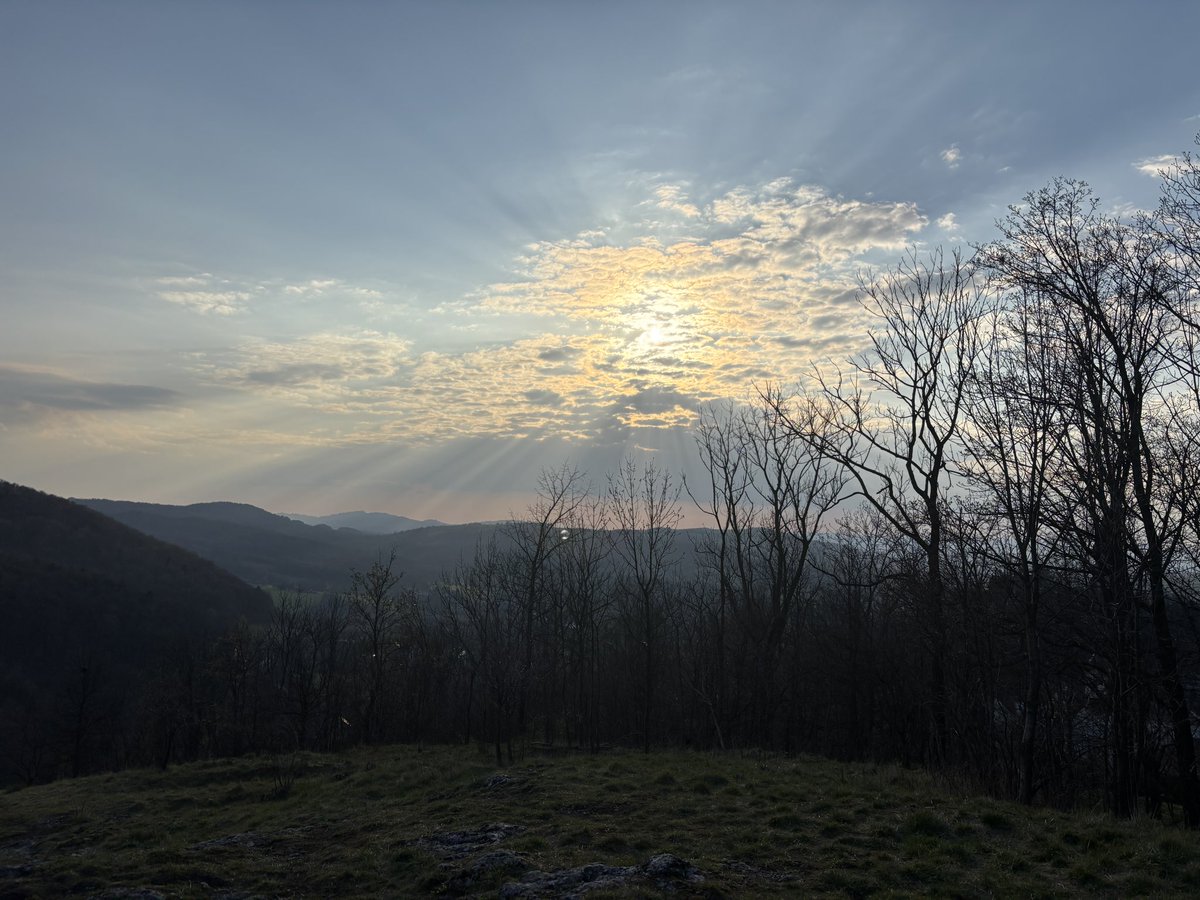 sword fan 🚭 tweet media