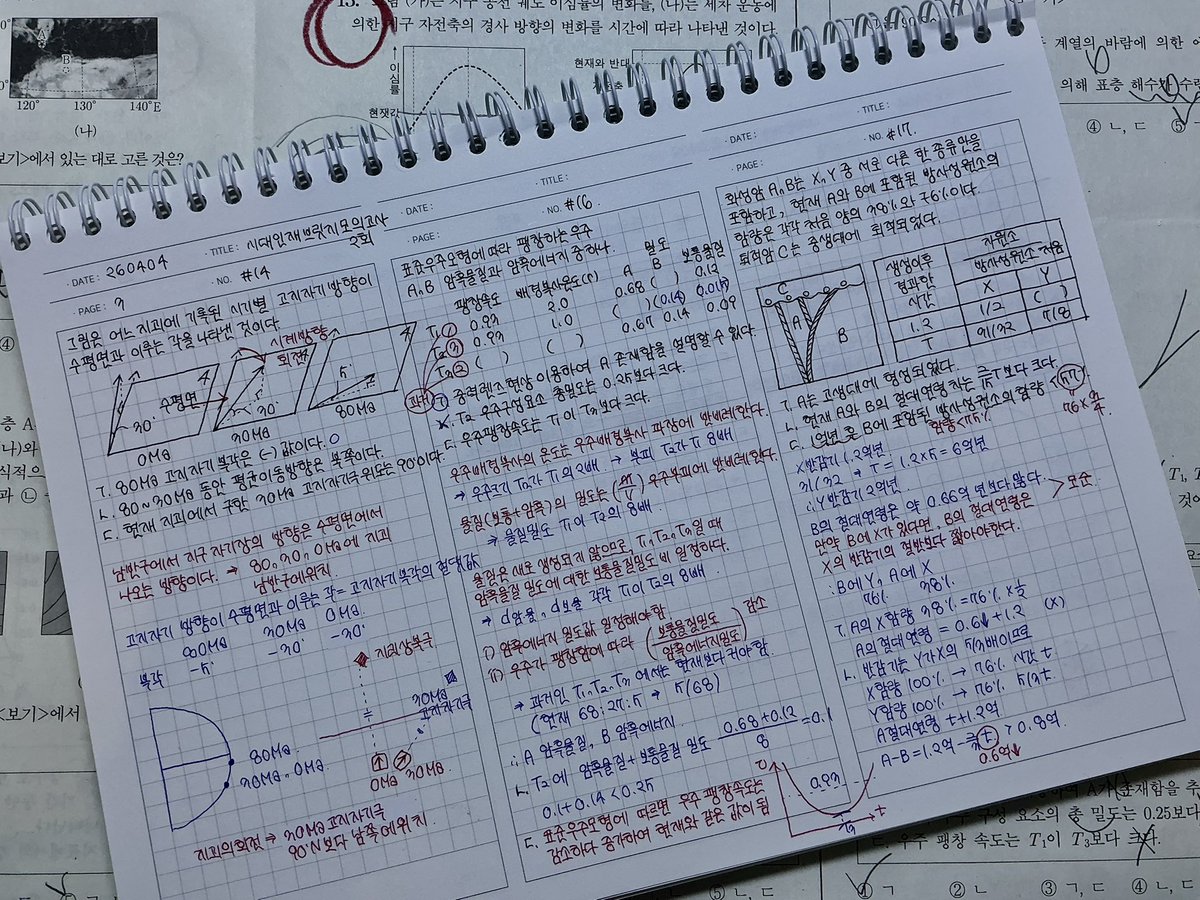 도요새 tweet media