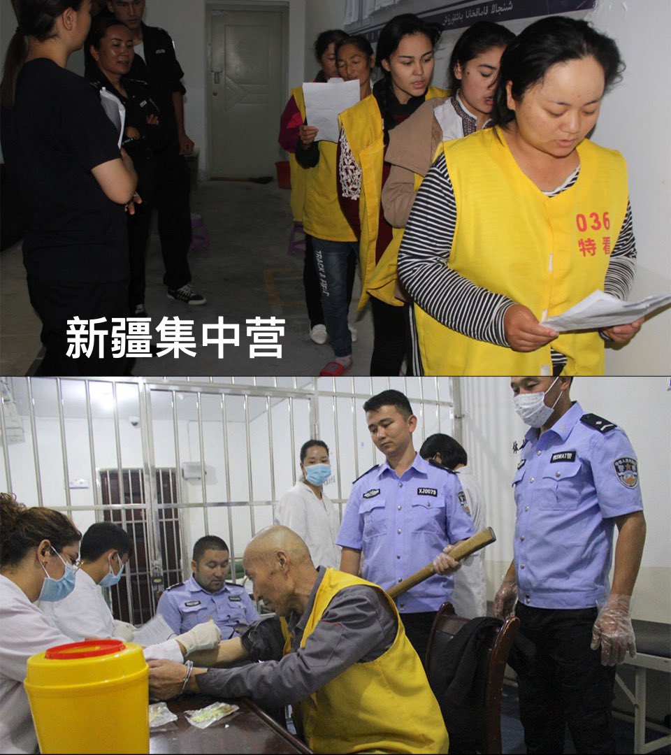 芙宁娜娜💙Furinana (王者归来版) tweet media