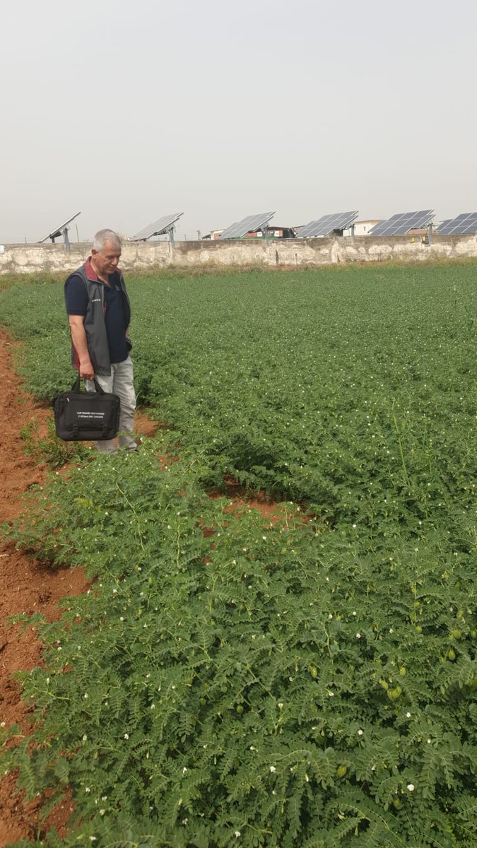 Dr. Halil HATİPOĞLU tweet media