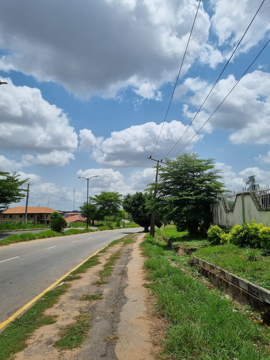 littleladyintech__👩‍💻 tweet media