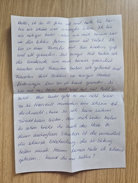 yolanda schultes tweet media