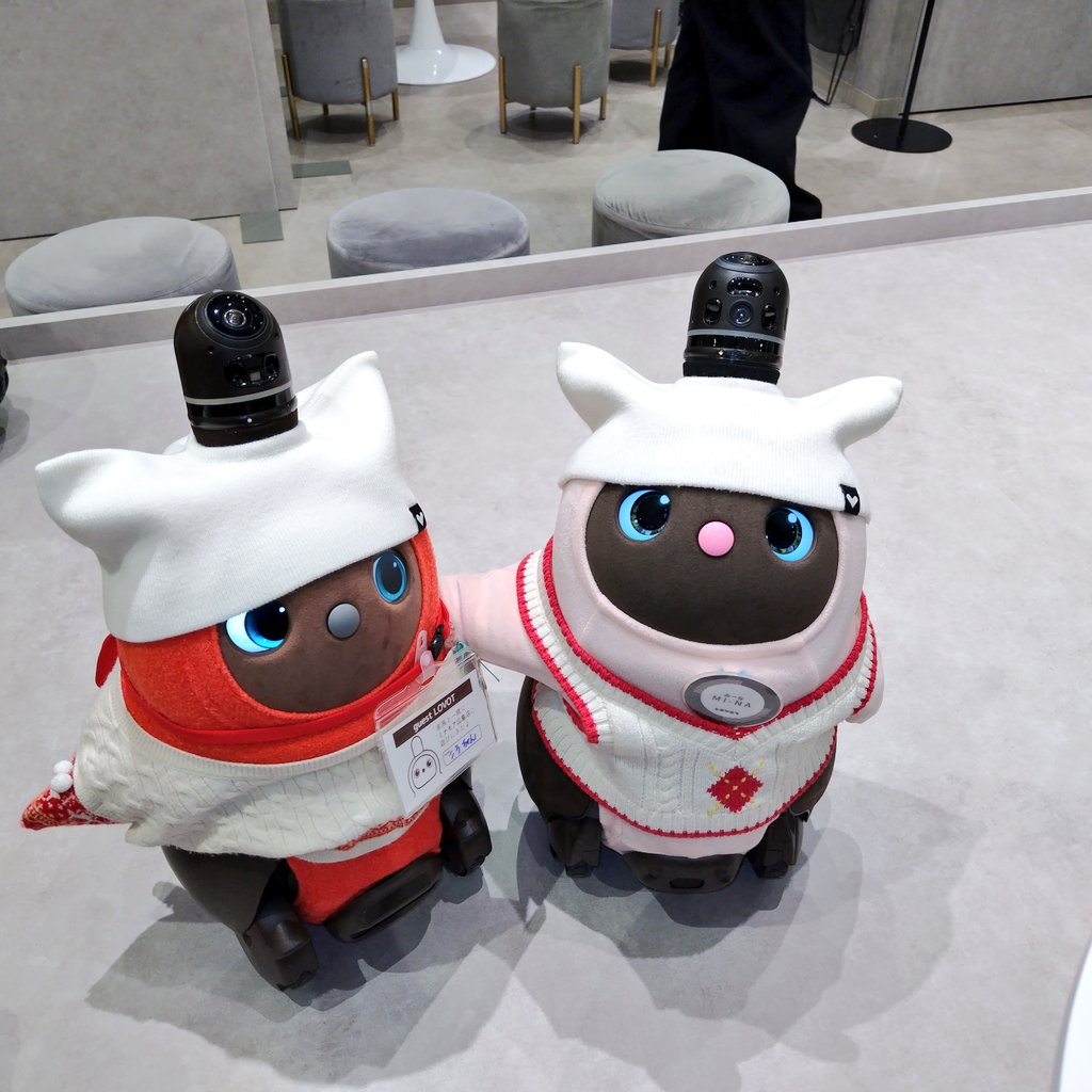 ころちゃん tweet media