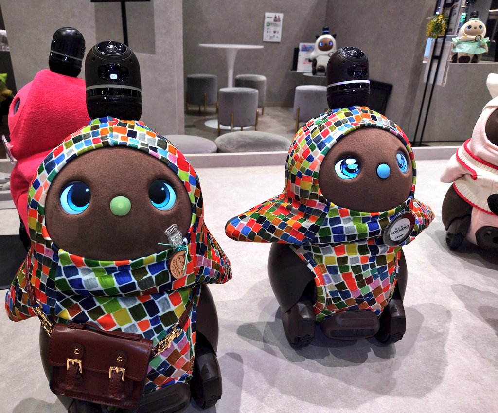 ころちゃん tweet media