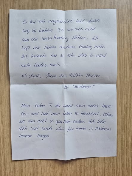 yolanda schultes tweet media