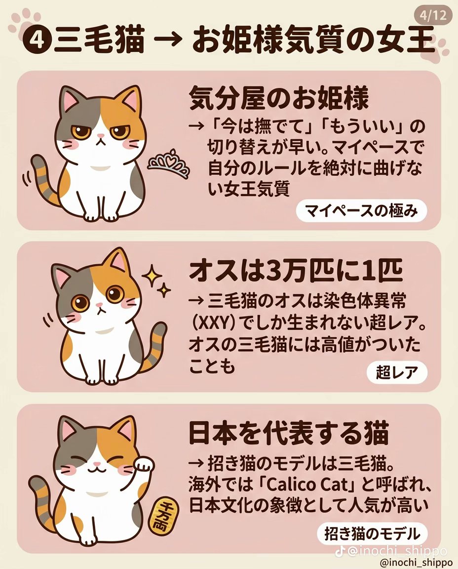 はい
お姫様…というか、絶対的女王様ですﾆｬ🐈️

vt.tiktok.com/ZSHBtkfeK/
