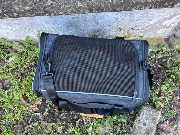 yolanda schultes tweet media