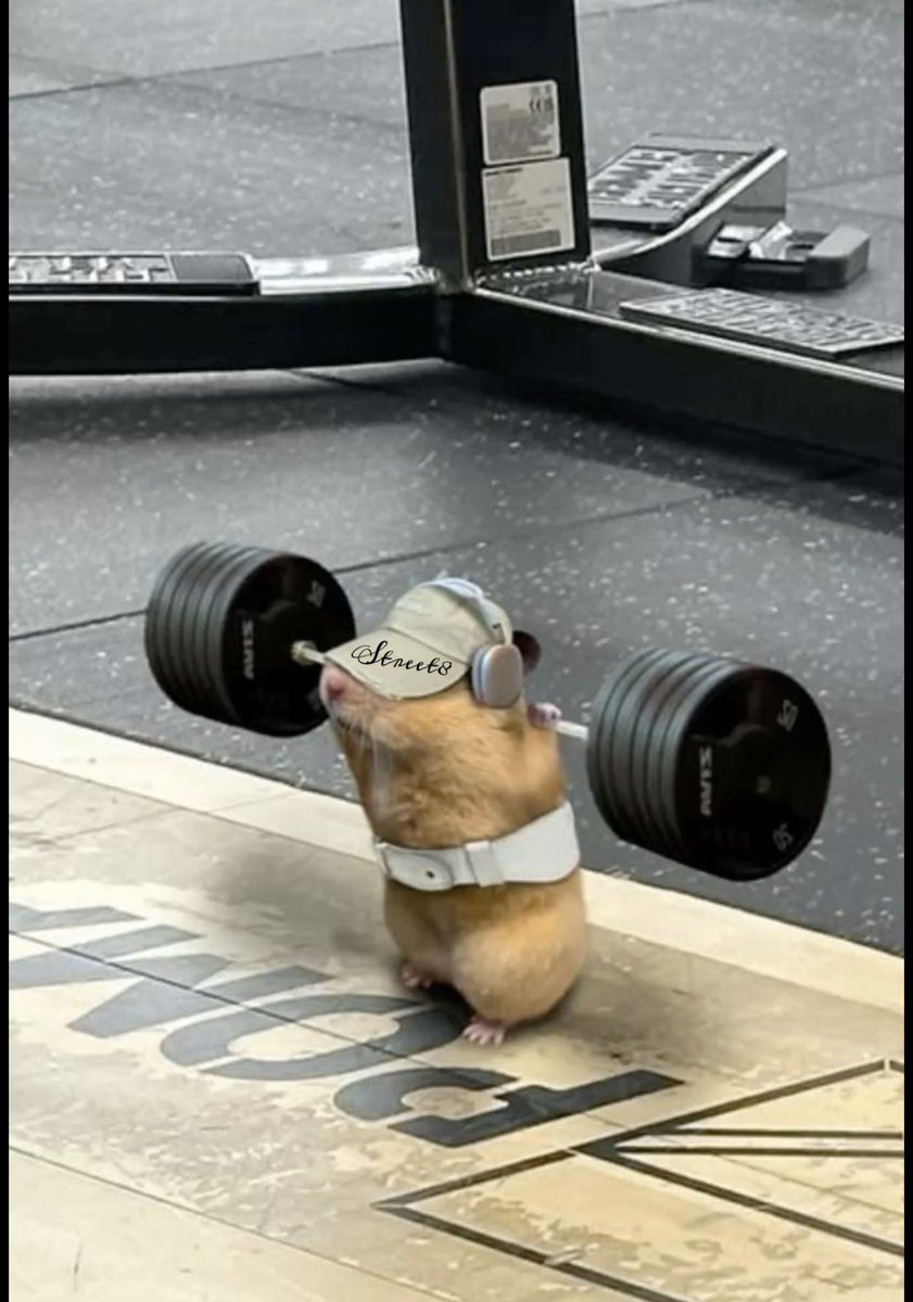 Chado🫶🤖 tweet media